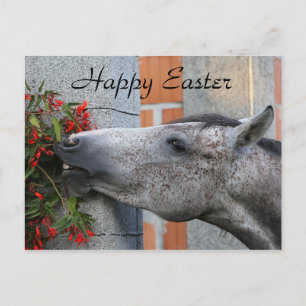 Cute Horse and Flowers Funny Boerderij Happy Pasen Briefkaart
