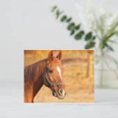 CUTE HORSE BRIEFKAART (Staand voorkant)