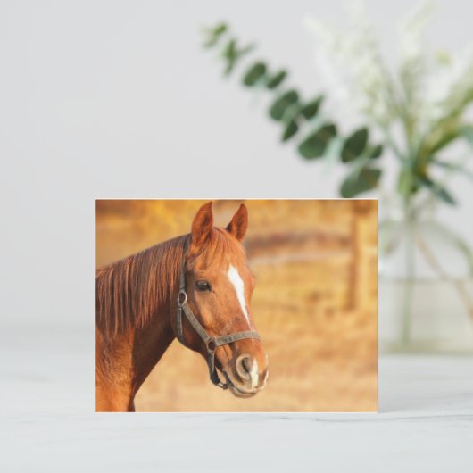 CUTE HORSE BRIEFKAART (Staand voorkant)