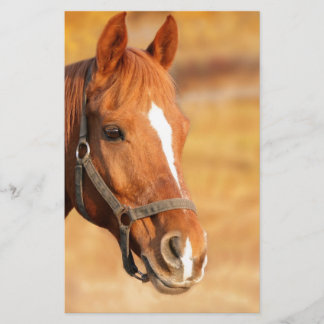 CUTE HORSE BRIEFPAPIER