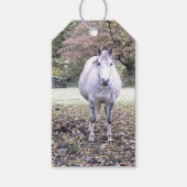 CUTE HORSE CADEAULABEL (Voorkant)