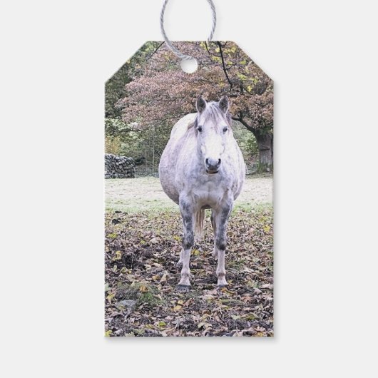CUTE HORSE CADEAULABEL (Voorkant)