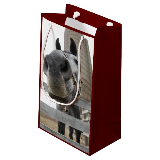 Cute Horse Close Klein Cadeauzakje (Achterkant Gekanteld)