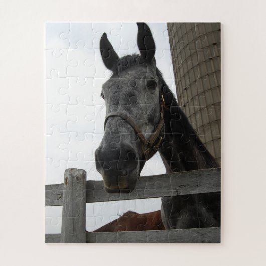 Cute Horse Close Legpuzzel (Verticaal)