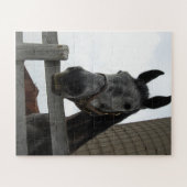 Cute Horse Close Legpuzzel (Horizontaal)
