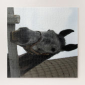 Cute Horse Close Legpuzzel (Horizontaal)