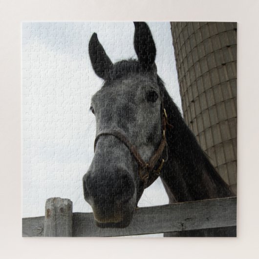 Cute Horse Close Legpuzzel (Verticaal)