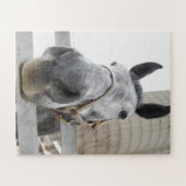 Cute Horse Close Legpuzzel (Horizontaal)