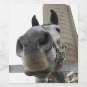 Cute Horse Close Wijn Etiket (Enkel label)