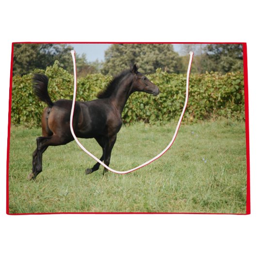 Cute Horse die door de Yard loopt Groot Cadeauzakje (Voorkant)