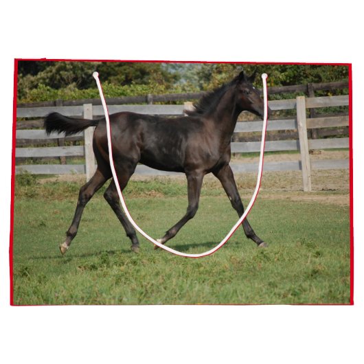 Cute Horse die door de Yard loopt Groot Cadeauzakje (Achterkant)