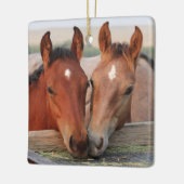 Cute Horse Foal Friends Keramisch Ornament (Links)