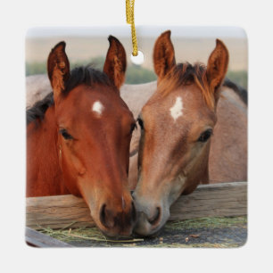 Cute Horse Foal Friends Keramisch Ornament