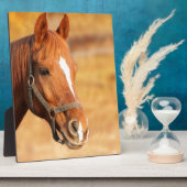 CUTE HORSE FOTOPLAAT (Zijkant)