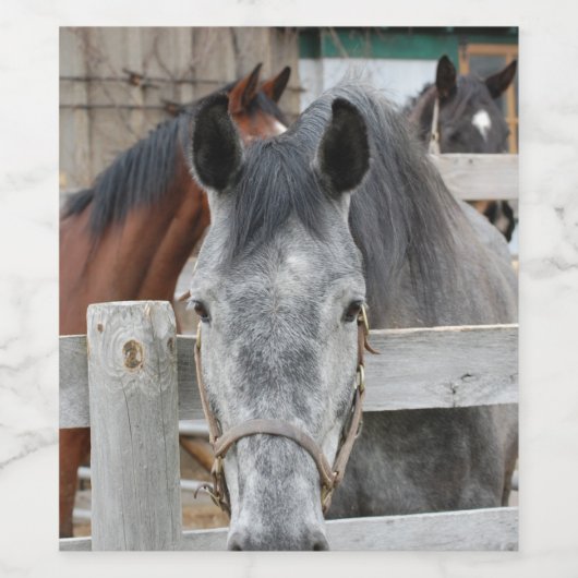 Cute Horse in een Barn Wijn Etiket (Enkel label)