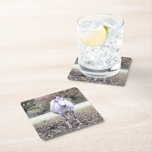 CUTE HORSE KARTONNEN ONDERZETTERS (Insitu)