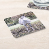 CUTE HORSE KARTONNEN ONDERZETTERS (Schuin)