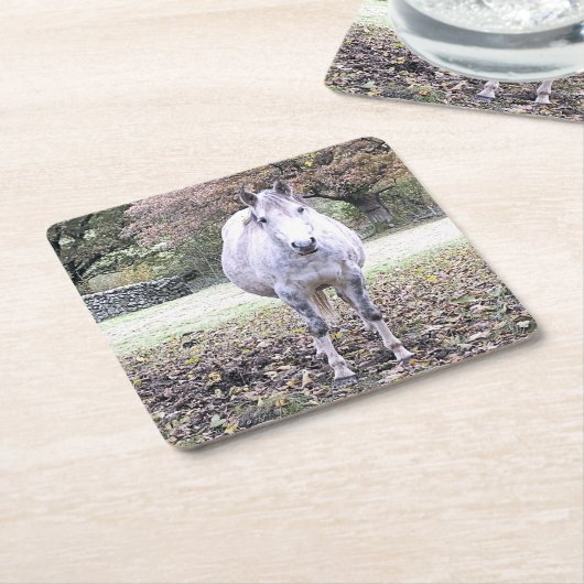 CUTE HORSE KARTONNEN ONDERZETTERS (Schuin)