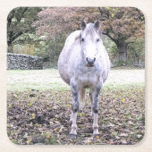 CUTE HORSE KARTONNEN ONDERZETTERS (Voorkant)