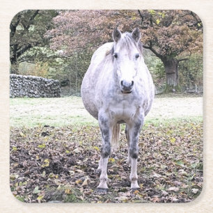 CUTE HORSE KARTONNEN ONDERZETTERS