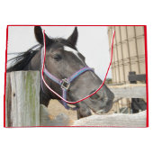 Cute Horse Kauwend op een Fence Post Groot Cadeauzakje (Voorkant)