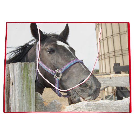 Cute Horse Kauwend op een Fence Post Groot Cadeauzakje (Voorkant)