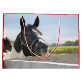 Cute Horse Kauwend op een Fence Post Groot Cadeauzakje (Achterkant)