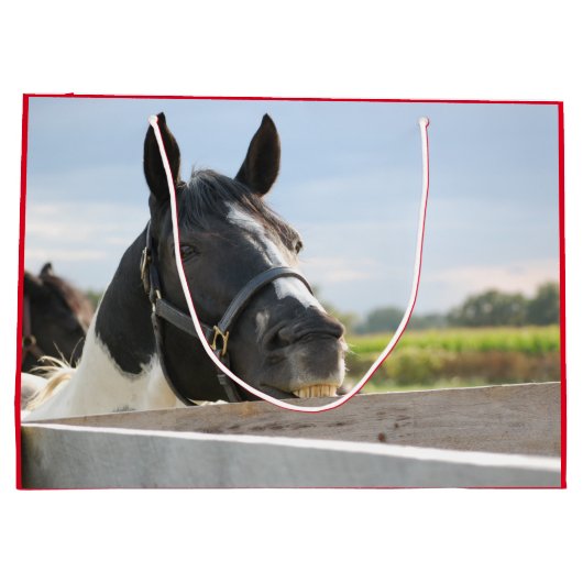 Cute Horse Kauwend op een Fence Post Groot Cadeauzakje (Achterkant)