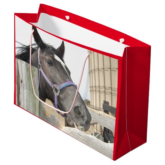 Cute Horse Kauwend op een Fence Post Groot Cadeauzakje (Voorkant Gekanteld)