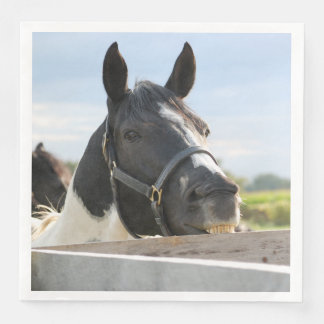 Cute Horse kauwt op een hek Servet
