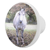 CUTE HORSE KERAMISCHE KNOP (Rechts)