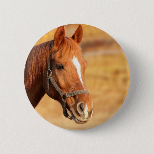 CUTE HORSE RONDE BUTTON 5,7 CM (Voorkant)