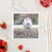 CUTE HORSE SERVET (Insitu)