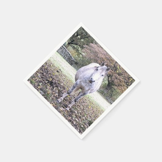 CUTE HORSE SERVET (Hoek)