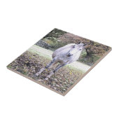 CUTE HORSE TEGELTJE (Zijkant)