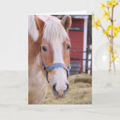 Cute Horse voelt zich beter Kaart (Gele Bloem)