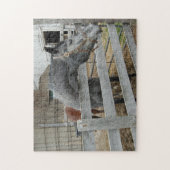 Cute Horse voor een Barn Legpuzzel (Verticaal)