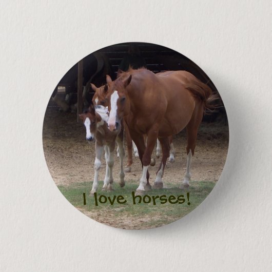 Cute Horses Button (Voorkant)