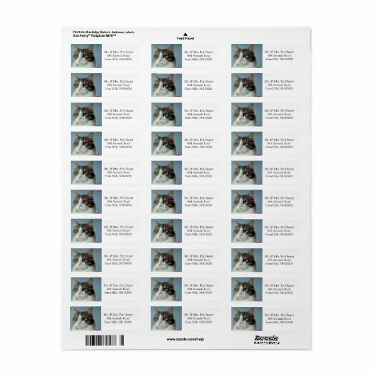 Cute Housecat Return Address Stickers Labels (Full Sheet)