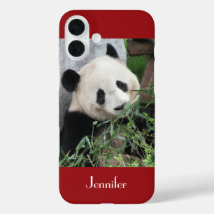 Cute Huggable Giant Panda, Dark Red, naam iPhone 16 Plus Hoesje