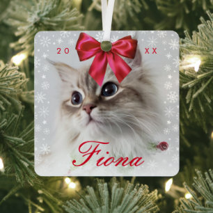 Cute huisdier foto Sneeuwvlok frame en linten st Metalen Ornament