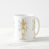 Cute Human Skeleton met labels Koffiemok (Voorkant rechts)