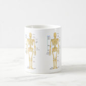 Cute Human Skeleton met labels Koffiemok (Center)