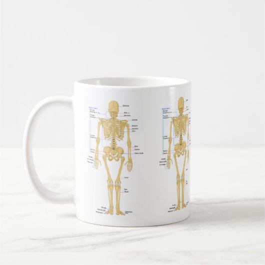 Cute Human Skeleton met labels Koffiemok (Links)
