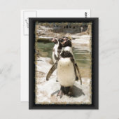 Cute Humboldt Penguin Briefkaarten (Voorkant / Achterkant)