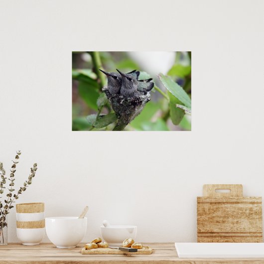 Cute Hummingbird Foto Poster (Keuken)