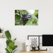 Cute Hummingbird Foto Poster (Thuiskantoor)