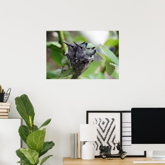 Cute Hummingbird Foto Poster (Thuiskantoor)