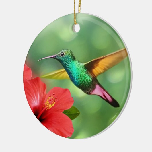 Cute Hummingbird met ventilator Keramisch Ornament (Links)