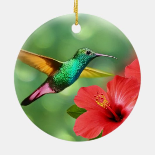 Cute Hummingbird met ventilator Keramisch Ornament (Achterkant)